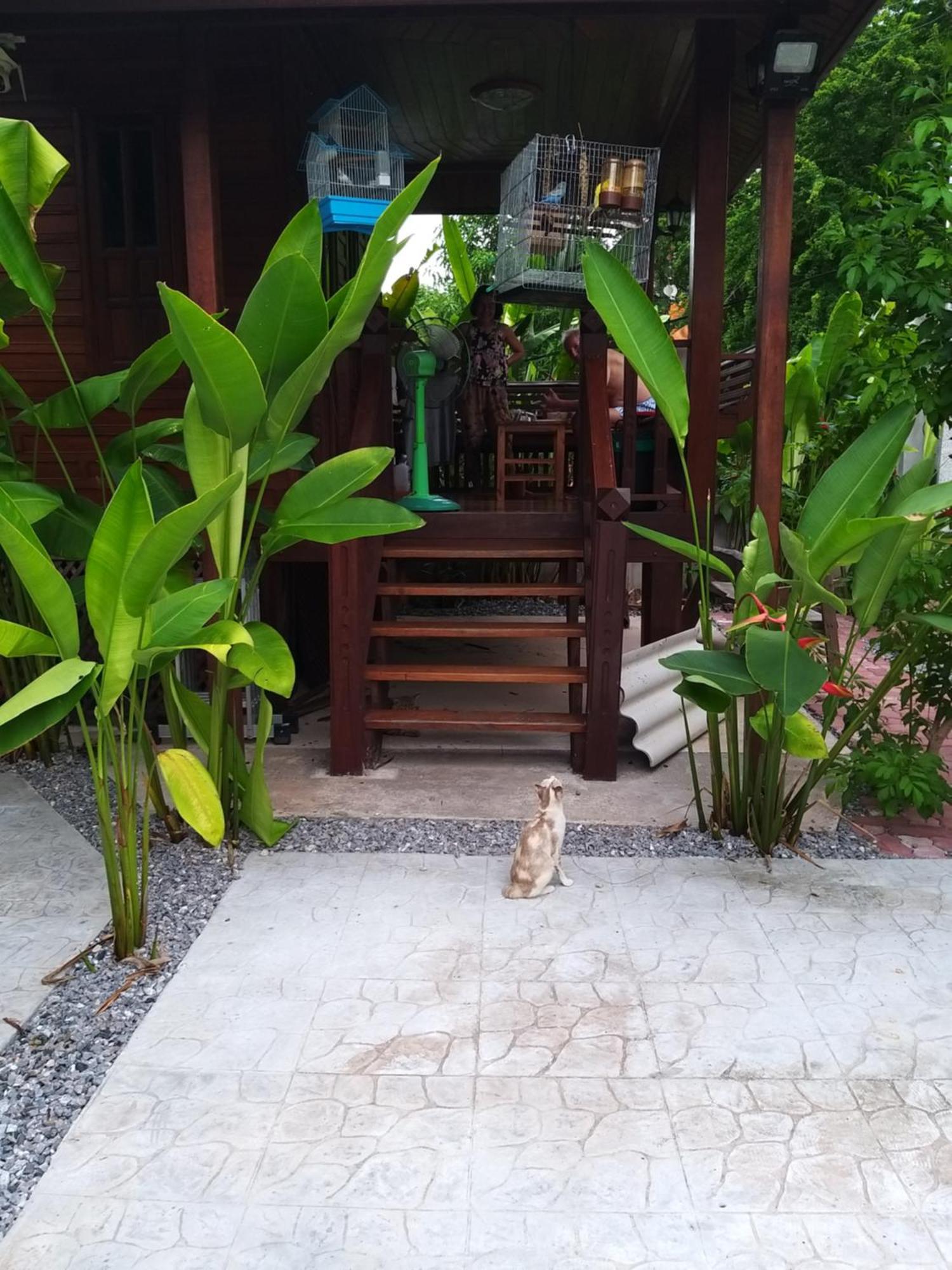 บ้านทะเลอิ่มเอม Bann Talay Im Eimm 반 페 외부 사진
